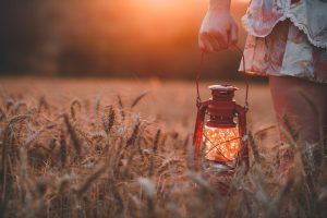 guilherme-stecanella-370401-unsplash