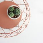 Coffee Cup